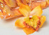 Artificial Orchid Orange D14cm 