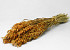 Bouquet Avoine Orange 70cm