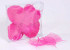 Feuille Squelette Rose 200pcs