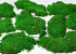 Platmos Lichtgroen per Kg