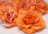 Rose Orange Artificielle D10cm