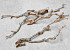 Lilac Branch 30-50cm