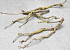 Lilac Branch 70-80cm