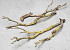 Lilac Branch 80-100cm