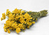 Bouquet Lonas 50cm