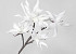 Fleurs en mousse Blanc 85cm 