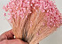 Glixia (50gr) Pastel Pink 30cm