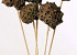 Spidergum Cone auf 50cm Stiel