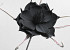Foam Flower black, D 20cm
