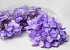 Tête d'Hortensia Lilac Pastel Artificielle D16cm 