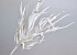 Zweig Schaumstoff Weiß, D 40cm