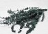 Eucalyptus Baby Blue Groen 65cm