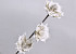 Blüte Schaumstoff Grau, D 18cm