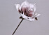 Fleur en mousse Blanc/Lila, D 16cm