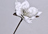 Fleur en mousse Blanc/Gris, D 16cm