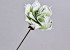 Fleur en mousse Vert, D 16cm