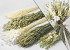 DIY Dried Flower Bouquet Natural/White XL