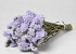 Statice Sinuata Hell Violett
