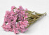 Statice Sinuata Roze