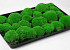 Bolmos Lichtgroen (Tray 38x58cm)