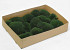 Bolmos Donkergroen (Tray 29x39cm)
