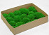 Polstermoos hellgrün (Tray 29x39cm)