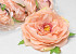 Artificial Peony Peach D13cm