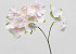 Kunst Hortensia Roze 40cm