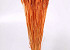 Bouquet Triticum Orange Claire (blé) 70cm