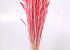 Bouquet Triticum Rosé Clair (blé) 70cm