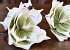 Blume Schaumstoff Grün, D 16cm