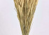 Tarwe Zongebleekt 70cm
