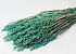 Hafer Petrol Blau 70cm