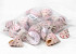 Coquillages Trochus Strawberry 1kg