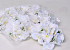 Hortensia Kop D18cm Wit