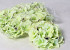 Hydrangea Head D18cm Green