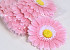 Gerbera D15cm Light Pink