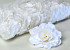 Rose D10cm White