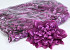 Dahlia D20cm Purple