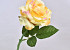 Rose Jaune D12cm L32cm