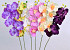 Orchidée Papillon Mix 70cm