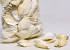 Coquillages Canarium Blanc 1kg
