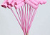 Banana Bundle sur Tige rose