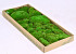 Boule de mousse vert (tray 66x26cm)