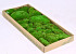 Cushion Moss green (tray 66x26cm)