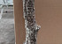 Kurk Stam XL 110-130cm