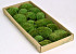 Boule de mousse Vert Forêt (tray 66x26cm)