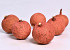 Melon Grand Rouge 7-9cm