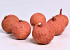 Melon Large Red 7-9cm