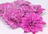 Dahlia D20cm Hard Pink